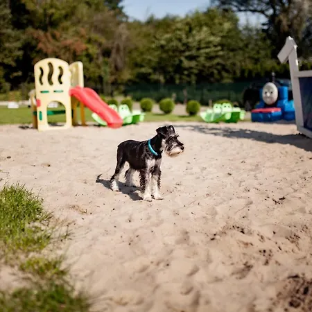 Krysiakowe Chatki Lodge *