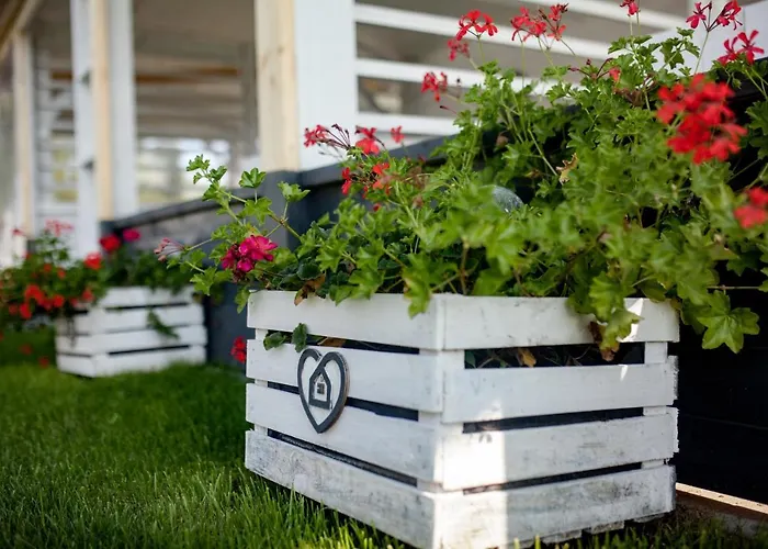 Krysiakowe Chatki * Gąski