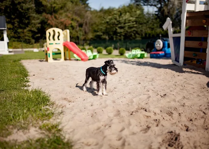 Krysiakowe Chatki ロッジ *